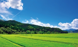 地方 イメージ